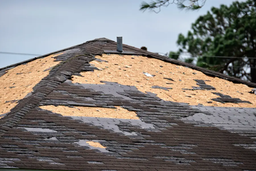 Tips for Maintaining Your Roof After Shingle Repairs Are Complete Churchill, ON Tips for Maintaining Your Roof After Shingle Repairs Are Complete Churchill, ON